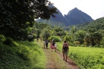 Moorea.
La randonnée du jour : le col des 3 cocotiers !
Cela permet d'atteindre un point de vue sur les 2 cotés de l'île, et de traverser une magnifique forêt.
Le groupe s'est étoffé avec Cyril, Margaux et le petit Antoine, des amis en vacances de la famille Coconut.