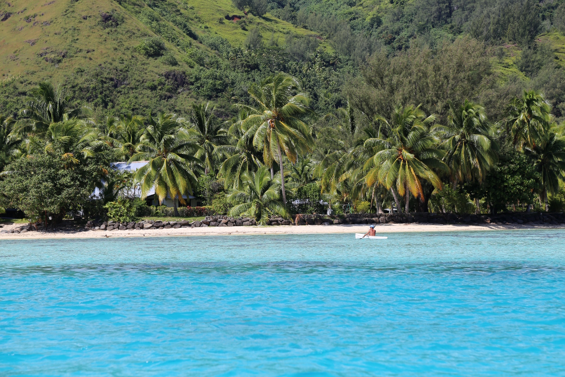 Moorea.