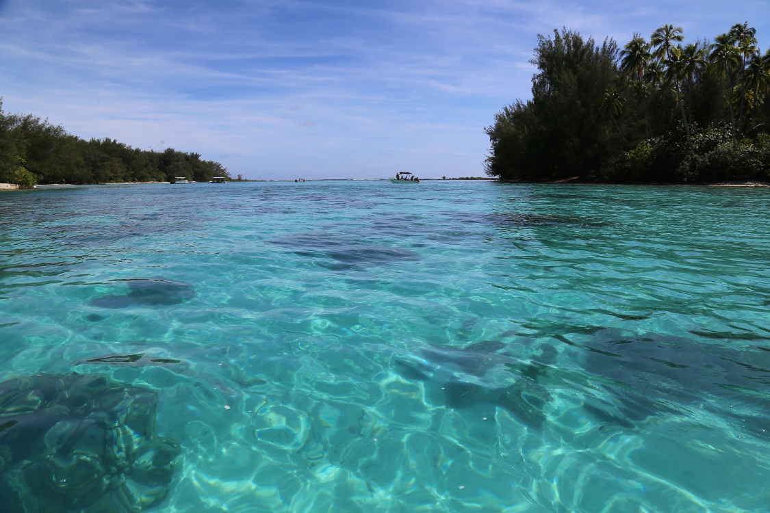 Moorea.
Motu Tiahura et Fare One.
Un motu est un Ã®lot de sable coralien que l'on trouve Ã  l'intÃ©rieur des lagons.
Et entre ces 2 motus, l'eau calme et limpide nous a permis de faire un superbe snorkelling.