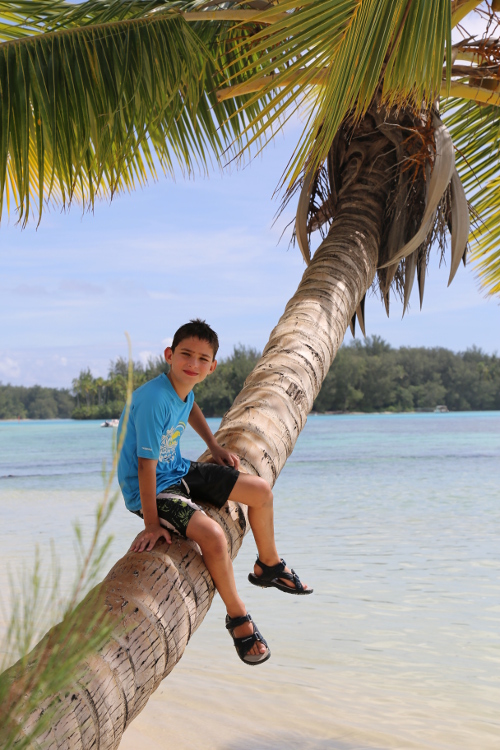 Moorea.
Plage des tipaniers.