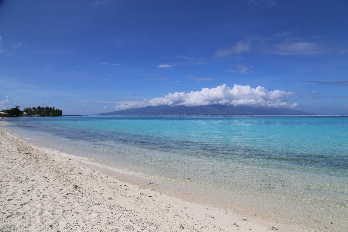 Moorea.
Magnifique plage de Temae ...