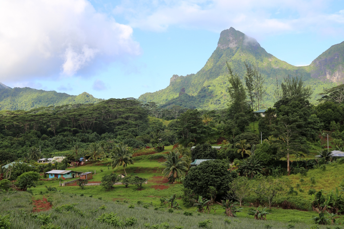 Moorea.
Route des ananas.