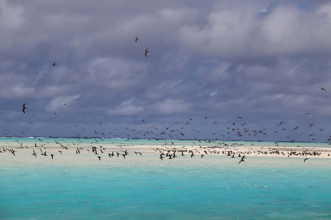 Atoll de Tetiaroa.