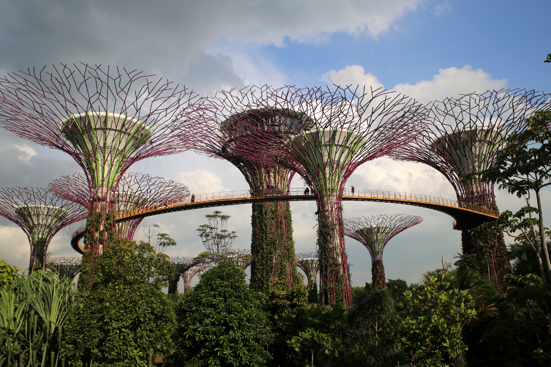 Gardens by the bay, un parc futuriste qui abrite des 