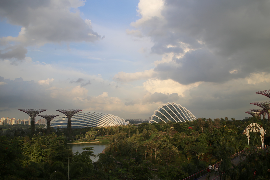 Gardens by the bay.