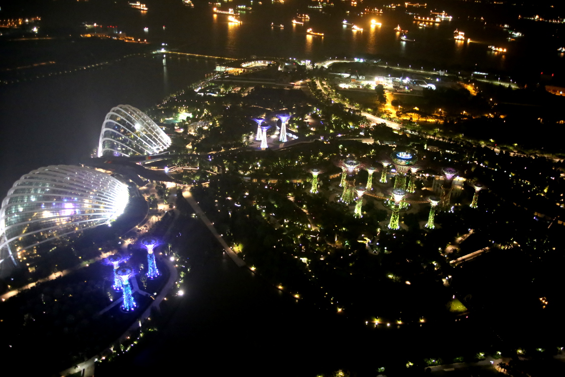 Vue depuis la terrasse du Marina Bay Sands.