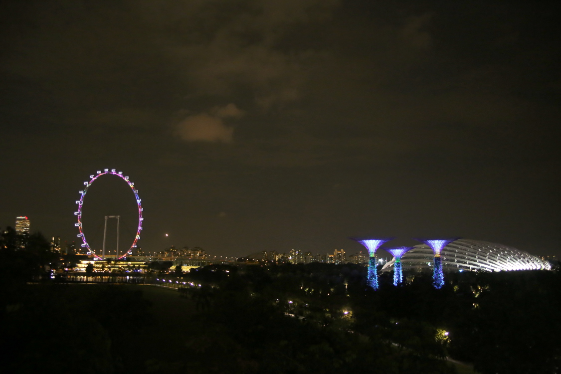 Singapore flyer, une trÃ¨s grande roue...