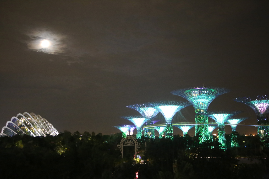 Gardens by the bay.