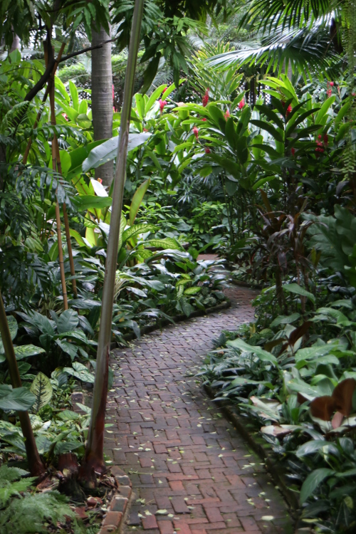 Bangkok. Maison de Jim Thompson, exportateur de soie et collectionneur d'art asiatique. Sa maison entiÃ¨rement en teck est un havre de paix au milieu du tumulte de Bangkok.