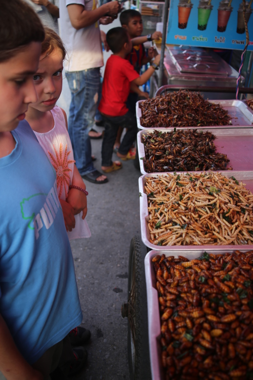 Bangkok. MarchÃ© de Chatuchak, l'un des plus grands du monde. Petits insectes et vers grillÃ©s : les enfants ont l'air moins motivÃ©s que pour les raviolis...