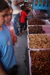 Bangkok. Marché de Chatuchak, l'un des plus grands du monde. Petits insectes et vers grillés : les enfants ont l'air moins motivés que pour les raviolis...