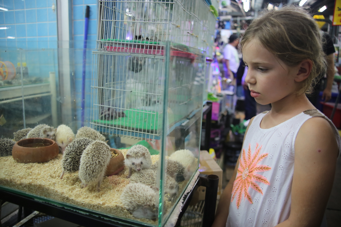 Bangkok. MarchÃ© de Chatuchak. On y trouve tout ce qui s'achÃ¨te.