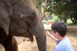 Chiang Mai. Baan Chang Elephant Park.