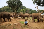 Chiang Mai. Baan Chang Elephant Park.