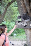Prachuap Khiri Khan.
Rencontre avec des singes adorables.