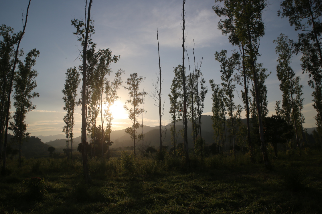 Parc national de Kui Buri.