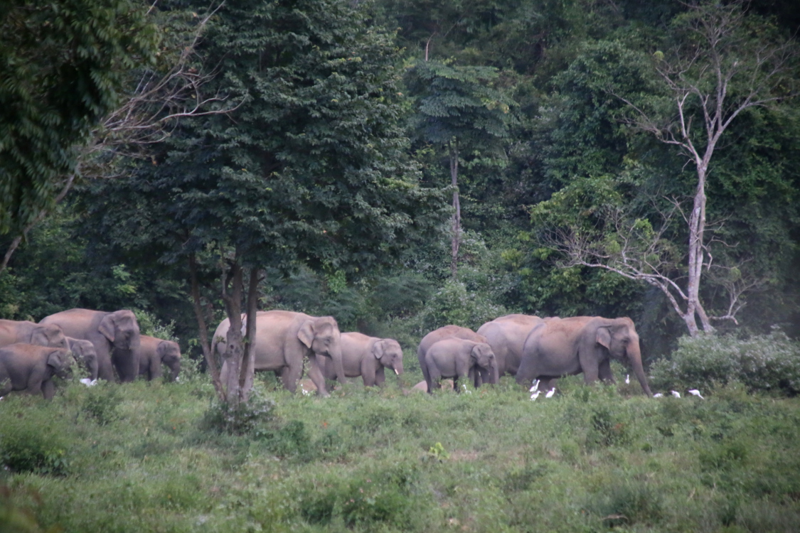 Parc national de Kui Buri.