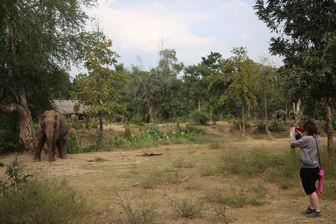 Kanchanaburi.
JournÃ©e avec les Ã©lÃ©phants.