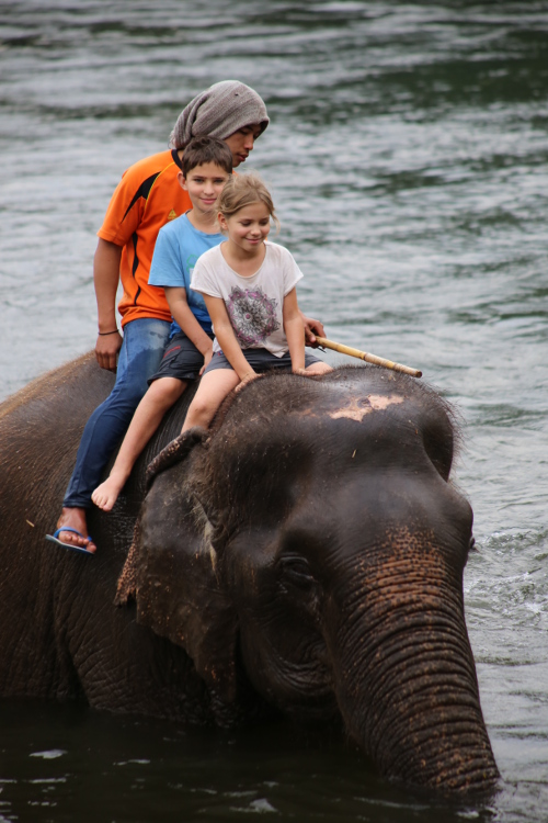Kanchanaburi.
JournÃ©e avec les Ã©lÃ©phants.
