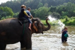 Chiang Mai. Baan Chang Elephant Park. Une bonne petite douche pour Fab !!!