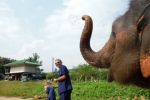 Chiang Mai. Baan Chang Elephant Park. A qui le tour ?