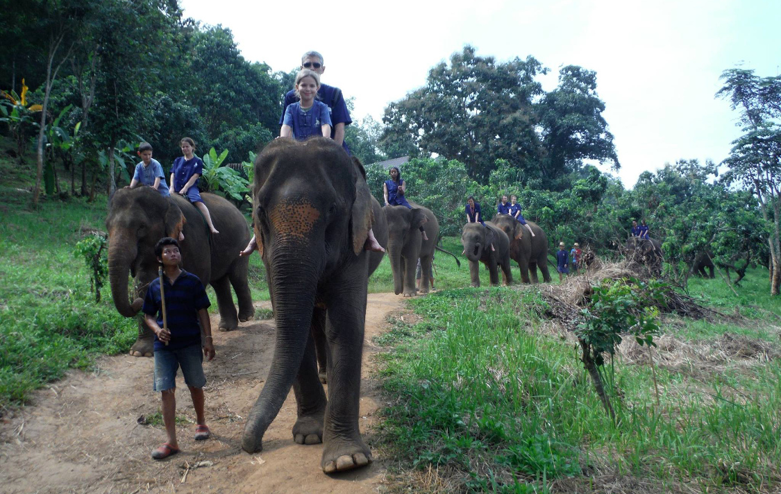 Chiang Mai. Baan Chang Elephant Park.