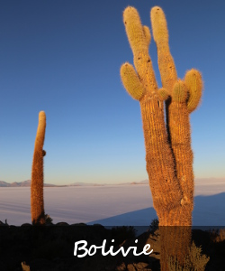 Bolivie