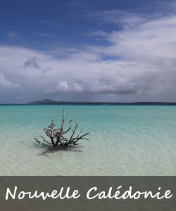 Nouvelle-Caledonie