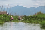 Lac Inle.
Le lac le plus touristique de la Birmanie, mais qui conserve un certain charme, avec ses jardins flottants, et ses fameux pêcheurs.