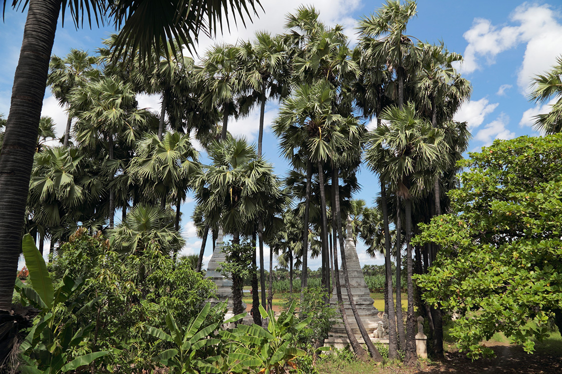 Mandalay, Inwa.
MonastÃ¨re Bagaya kyaung.