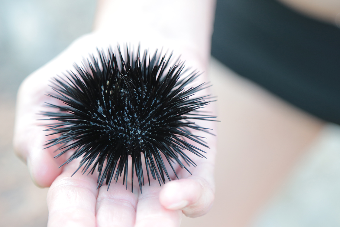 Plage Plavi Horizonti.
C'est beau !