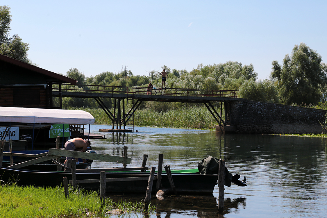 Parc national du Skadar.
Et Ã  Dodosi, il y a un pont Ã©quipÃ© pour faire des sauts ! Dans une riviÃ¨re limpide avec une tempÃ©rature proche de 30Â°C.
C'Ã©tait magique...