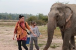 Phetchaburi.
Nous passons un journée au Wildlife Friends Foundation, une fondation qui s'occupe des animaux mal traités, abandonnés ou blessés.
Belle rencontre avec les éléphants.