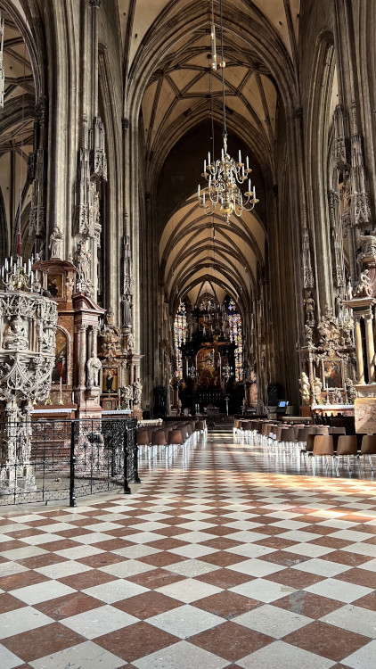 CathÃ©drale Saint-Ã‰tienne de Vienne